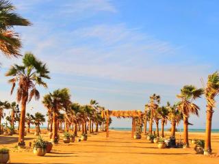 Mangarove m3 1c 11 - 6