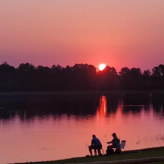 Espacio Benignia - 8