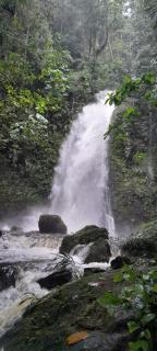 Amanecer mágico, Putumayo - 5