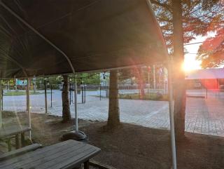 Modern Tiny Wood Cottage 0 - 3