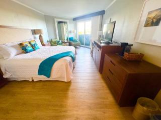 Oceanfront Paradise Room with Pool and Oceanviews - 9