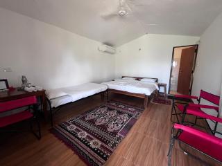 Home in the Jungle - 4