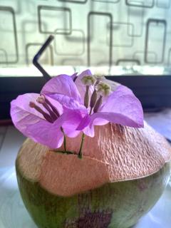 Nadia Resort Kohjum - Koh Jum - 5