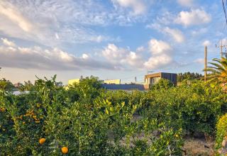 까사호제 풀빌라, 독채건물 두채, 야외자쿠지 풀빌라, 바다, 산방산, 마라도 뷰, 곶자왈 돌창고 정원 - 9