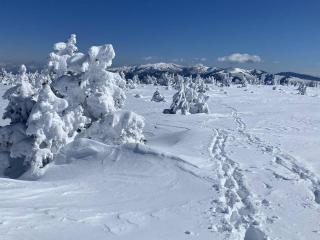 Chalet indépendant confortable pour 6, proche pistes - FR-1-295-212 - 5