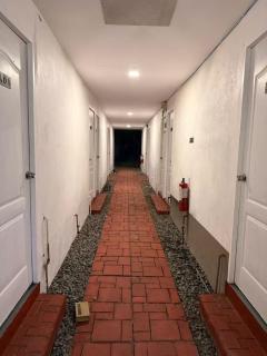 AA Jungle Guesthouse - 7