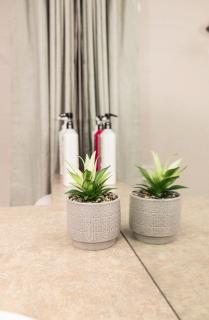 Rocky Mountain Retreat-Mountain View! - 6