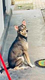 chula,s Home Stay - 4