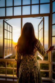 The Colonial Crest - Nillambe - 2