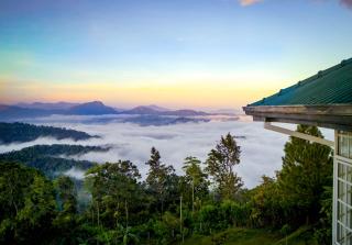 The Colonial Crest - 4