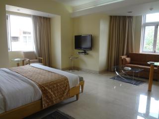 Ascot Hotel - Bombay - 7