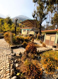 Peace Forest Retreat - 0