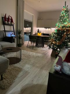 Arctic apartment Takapudas - 8