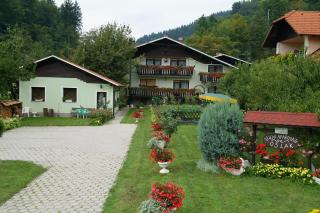 Zeleni apartma Zreče - Zreče - 6