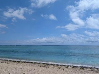 4Beds- Beachfront Bungalow - 7