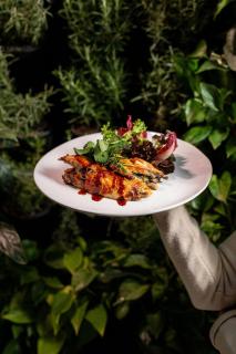 Dorothea Hotel, Budapest, Autograph Collection - 3