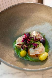 Dorothea Hotel, Budapest, Autograph Collection - 2