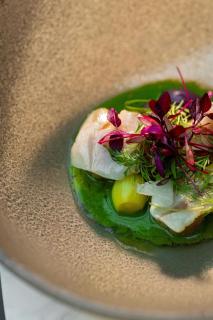 Dorothea Hotel, Budapest, Autograph Collection - 1