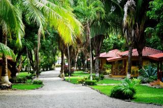 Esencia Hotel and Villas - Santa Teresa Beach - 1