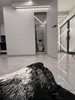 JE downtown suite - 3