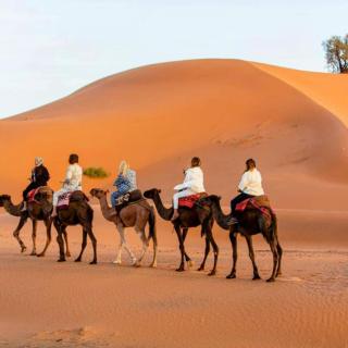 Experience Luxury Desert Camp - 3