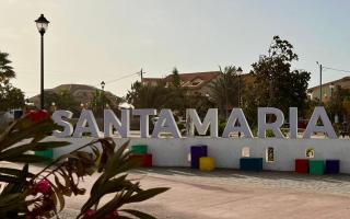 Greenland Tropical - 6