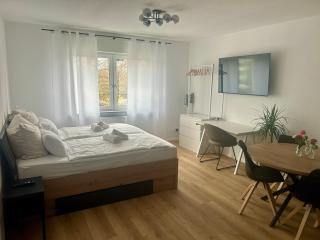 Pfalz-Studio in Speyer - stilvoll, modern & zentral - 6