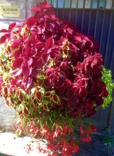 Chambres d'hôtes Kayros - Rugney - 2