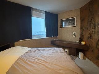 Bel appartement bourgeois 170 m2 Proche gare et Place Stanislas, Nancy - 1