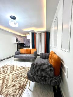 Spacious One Bedroom Apartment in Kampala - 0