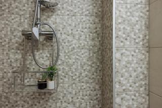 Celeste - University Square - 6