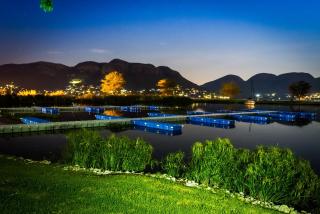 Pecanwood 11 on 7th - 7