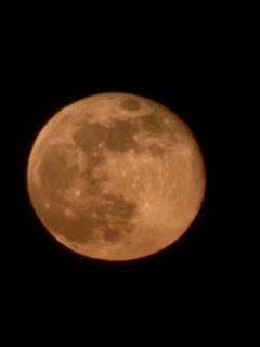 Royale Touareg Tents - Merzouga - 6