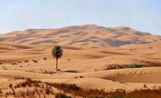 Royale Touareg Tents - Merzouga - 7