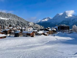 Caselva Arosa Mountain Residence by Arosa Stay - 5