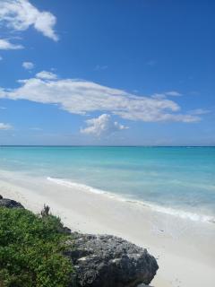 KIVi Cottages Nungwi - Nungwi - 6