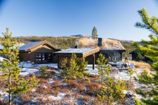 Ny og moderne hytte med sauna, jacuzzi og eget spillrom med biljard og dart Gratis elbillading og strøm inkludert i prisen - 3