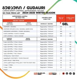 Duplex with private Sauna & Mountain View - 6