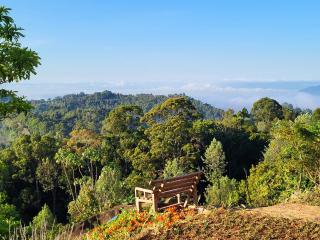 Hondo Hondo mountain view - 8