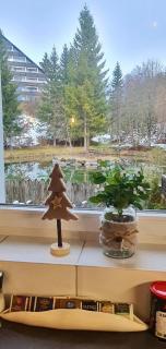 Ferienhaus Fux - Your Lake and Ski Hideaway at Tauplitz near Hallstatt - 5