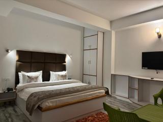 The Virasat Villa - 5