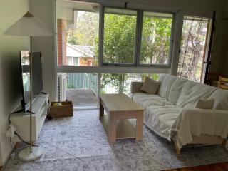 Marsfield-Queen-MacUni-MacCentre-Bus-Woolworth - 1