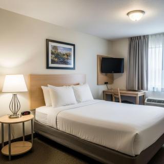 Grand Vi Vaan Ultra Luxury Rooms With Mountain Views And Free Parking !!! Top Rated Best Hotel In Manali - 7