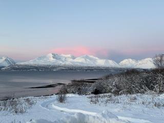 Above The Arctic circle - 0