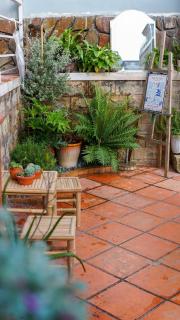 Nhà Mận - Plum House - Ấp Xuân An - 4