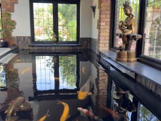 Balancyoga Guesthouse - 4