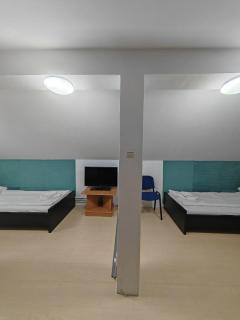 Pensiunea Luminita - 8