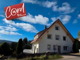 Schwarzwaldblick Rothaus - 9