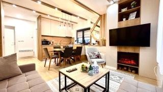 Triple Shine Bjelasnica & Free Garage - 8