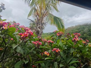 Charmante maison avec piscine en bord de ravine secret's - 4